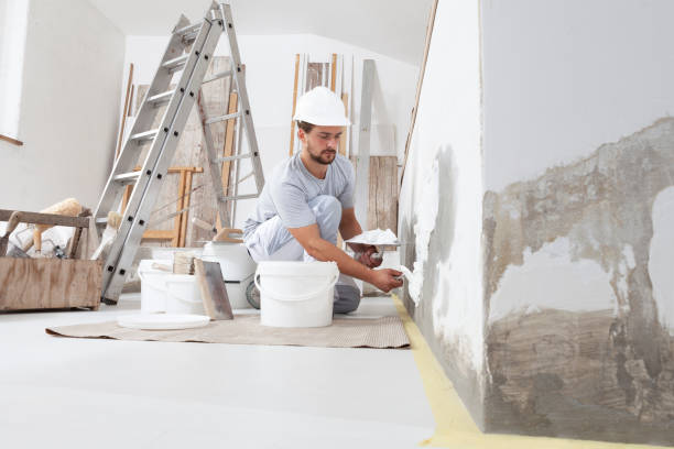 Best Eco-Friendly and Low-VOC Painting  in Springfield, OR