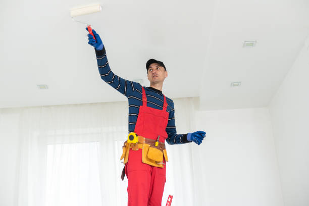 Best Drywall Removal and Disposal  in Springfield, OR