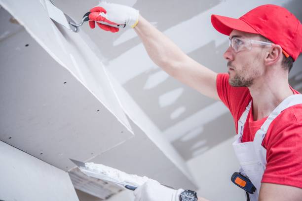 Best Drywall Installation  in Springfield, OR